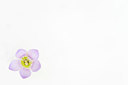 BUITEN BEELD Foto: 419221