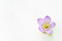 BUITEN BEELD Foto: 419256