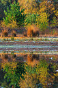 BUITEN BEELD Foto: 419470