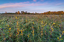 BUITEN BEELD Foto: 419527