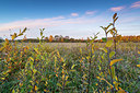 BUITEN BEELD Foto: 419571