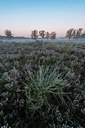 BUITEN BEELD Foto: 419691