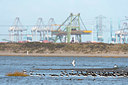 BUITEN BEELD Foto: 419930