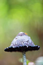 BUITEN BEELD Foto: 419976