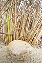 BUITEN BEELD Foto: 420244