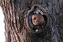 BUITEN BEELD Foto: 420404