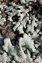 BUITEN BEELD Foto: 420775