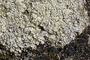 BUITEN BEELD Foto: 420778