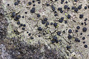 BUITEN BEELD Foto: 420824