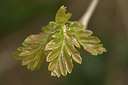 BUITEN BEELD Foto: 420855