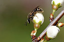 BUITEN BEELD Foto: 420894