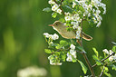 BUITEN BEELD Foto: 421005