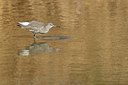 BUITEN BEELD Foto: 421299