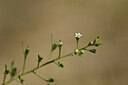 BUITEN BEELD Foto: 421357