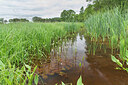 BUITEN BEELD Foto: 421559