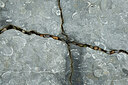 BUITEN BEELD Foto: 422025