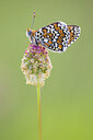 BUITEN BEELD Foto: 422045