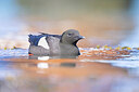 BUITEN BEELD Foto: 422059