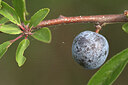 BUITEN BEELD Foto: 422402