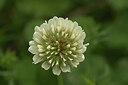 BUITEN BEELD Foto: 422406