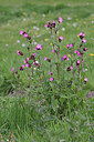 BUITEN BEELD Foto: 422640