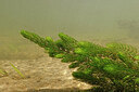 BUITEN BEELD Foto: 422646