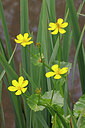 BUITEN BEELD Foto: 422672