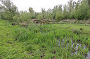 BUITEN BEELD Foto: 422771
