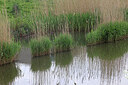 BUITEN BEELD Foto: 422820