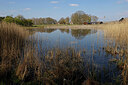 BUITEN BEELD Foto: 422829