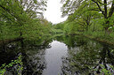 BUITEN BEELD Foto: 422840