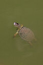 BUITEN BEELD Foto: 422903