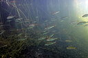 BUITEN BEELD Foto: 423277
