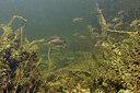 BUITEN BEELD Foto: 423304