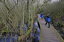 BUITEN BEELD Foto: 424126