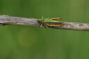 BUITEN BEELD Foto: 424182
