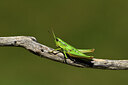 BUITEN BEELD Foto: 424260