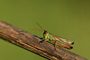 BUITEN BEELD Foto: 424301