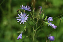BUITEN BEELD Foto: 424594
