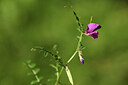 BUITEN BEELD Foto: 424627