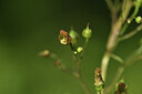 BUITEN BEELD Foto: 424633