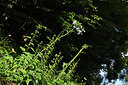 BUITEN BEELD Foto: 424673