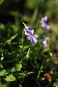 BUITEN BEELD Foto: 424678