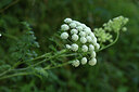 BUITEN BEELD Foto: 424704