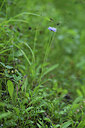 BUITEN BEELD Foto: 424708