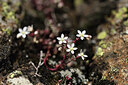 BUITEN BEELD Foto: 424754