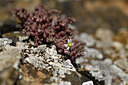 BUITEN BEELD Foto: 424760