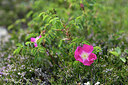 BUITEN BEELD Foto: 424784