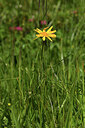 BUITEN BEELD Foto: 424818