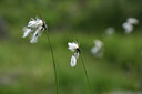 BUITEN BEELD Foto: 424852